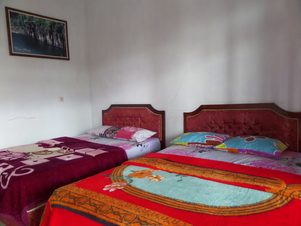 Hotel Nadia Bromo Buitenkant foto